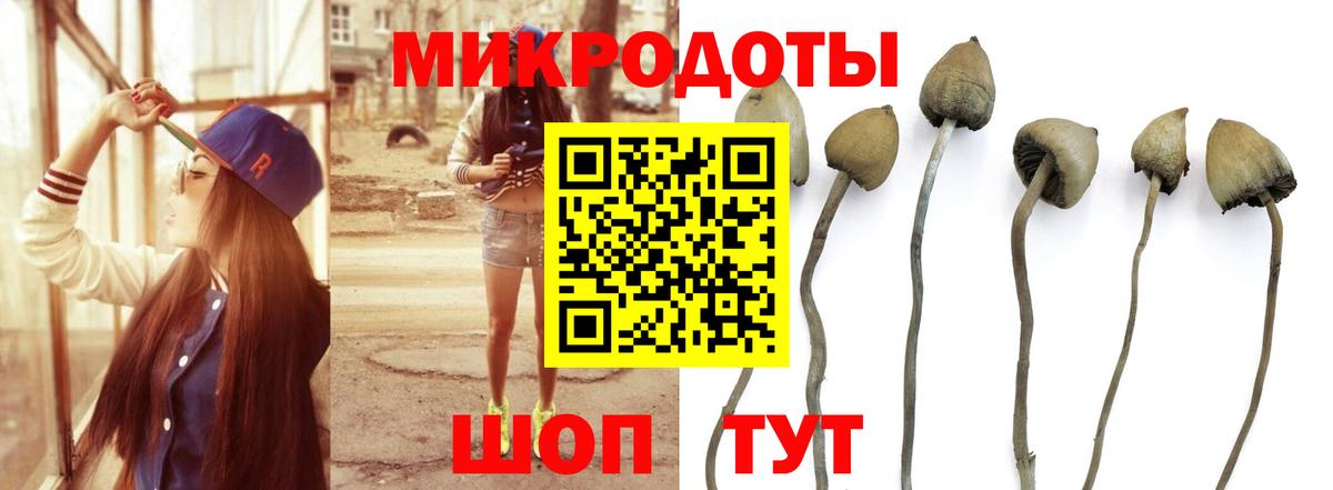 Клин  Галлюциногенные грибы GOLDEN TEACHER  Вход с VPN 